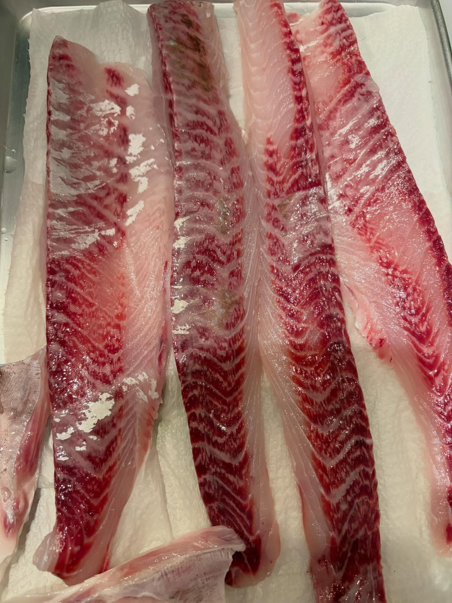 🐟 本日3/27(金) 1週間お疲れ様でした！
