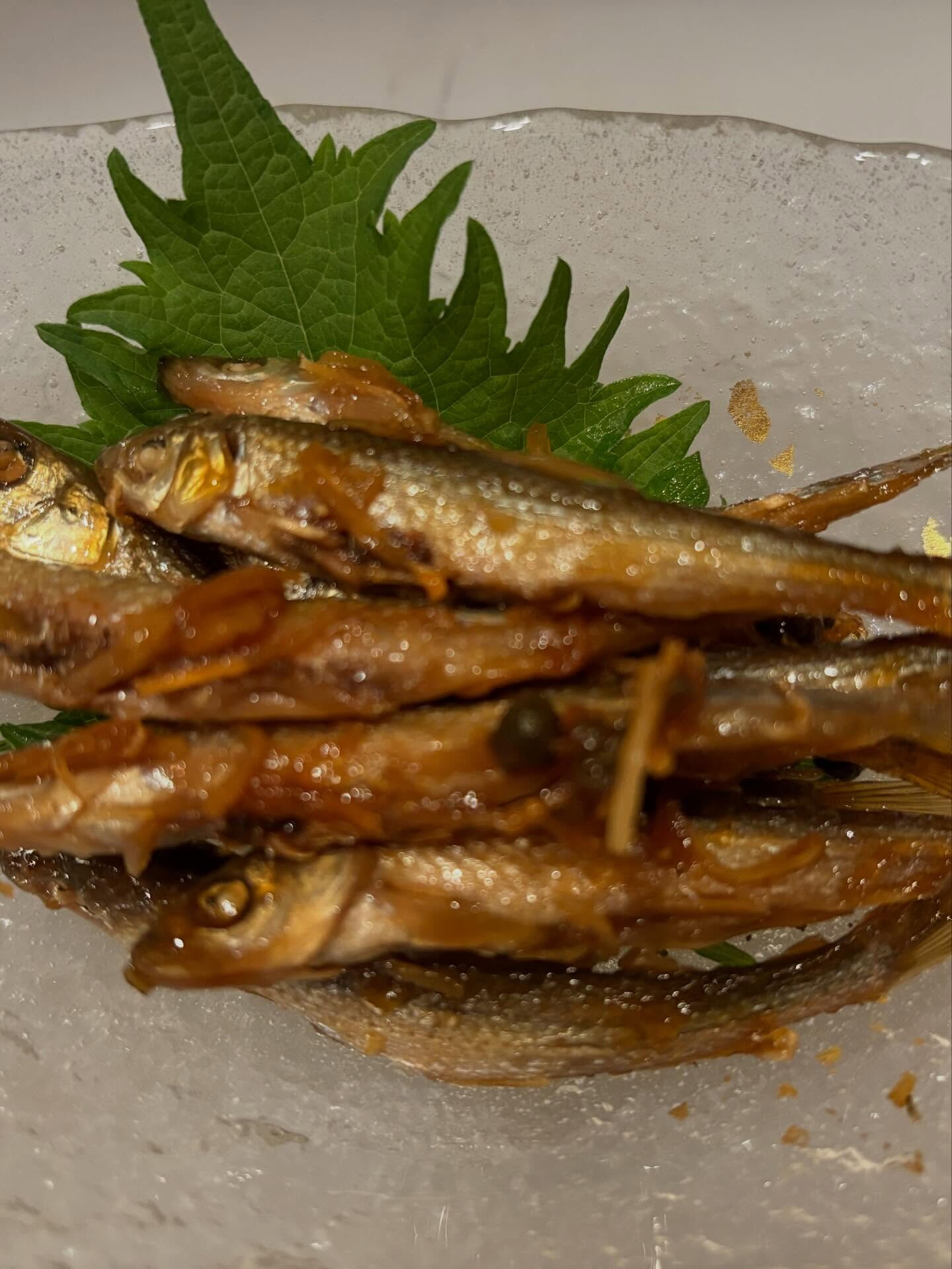 🐟 本日3/27(金) 1週間お疲れ様でした！