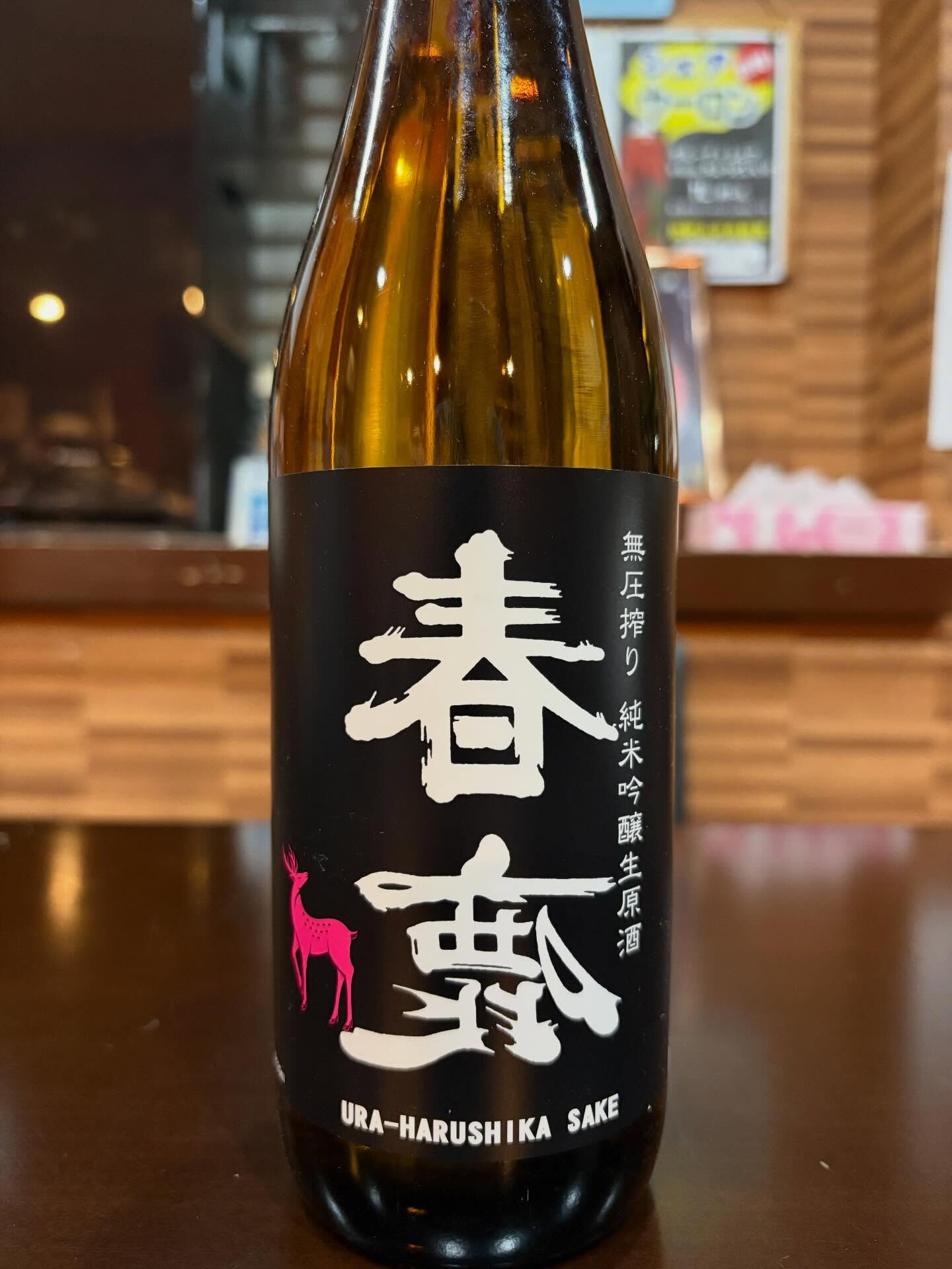 🍶 本日4/14(火) 新着日本酒を順次抜栓！ ＆ はしご酒