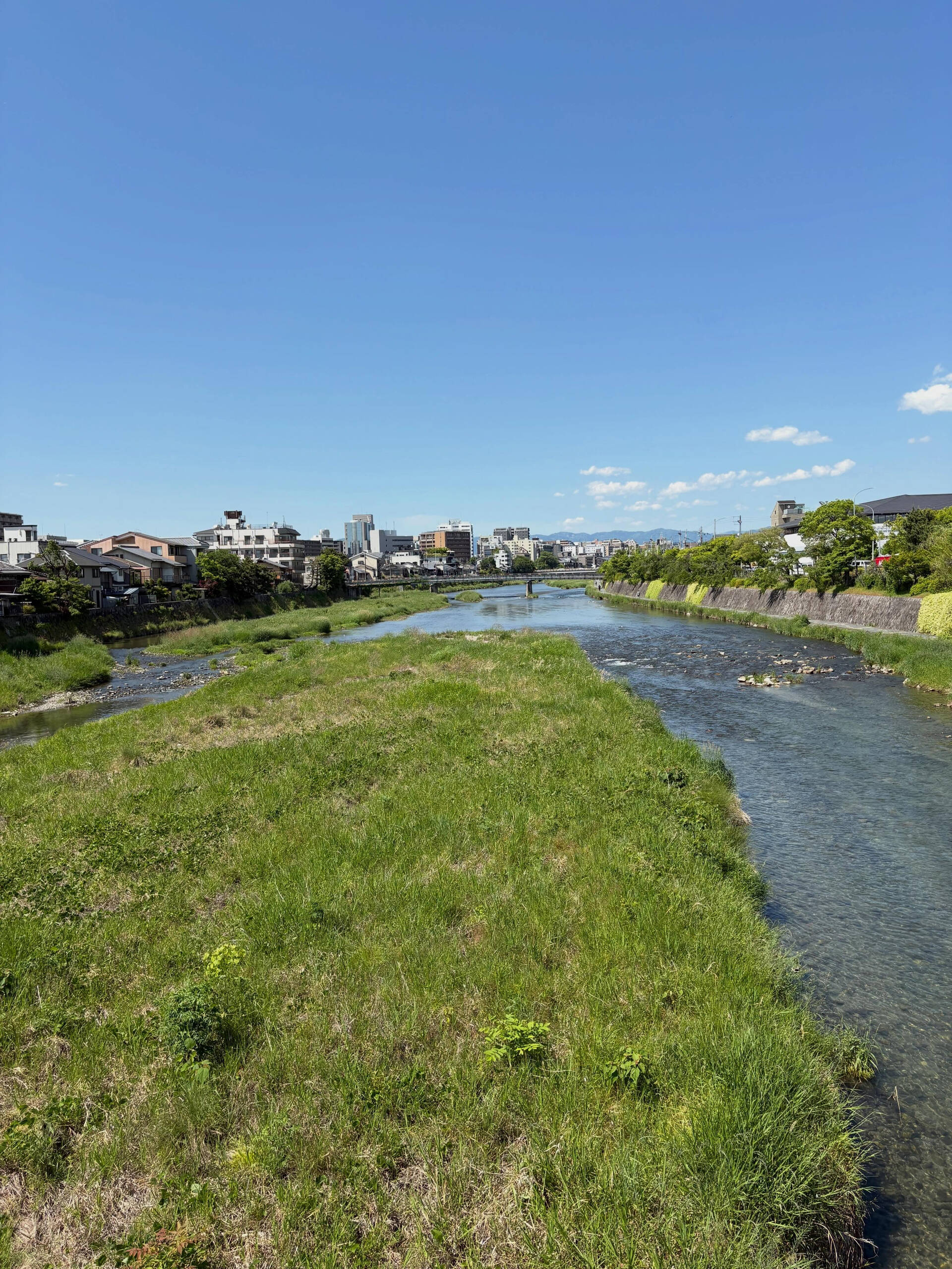 🍶 【仕入れ完了！】明日から夏酒、続々抜栓します ＆ 5/1