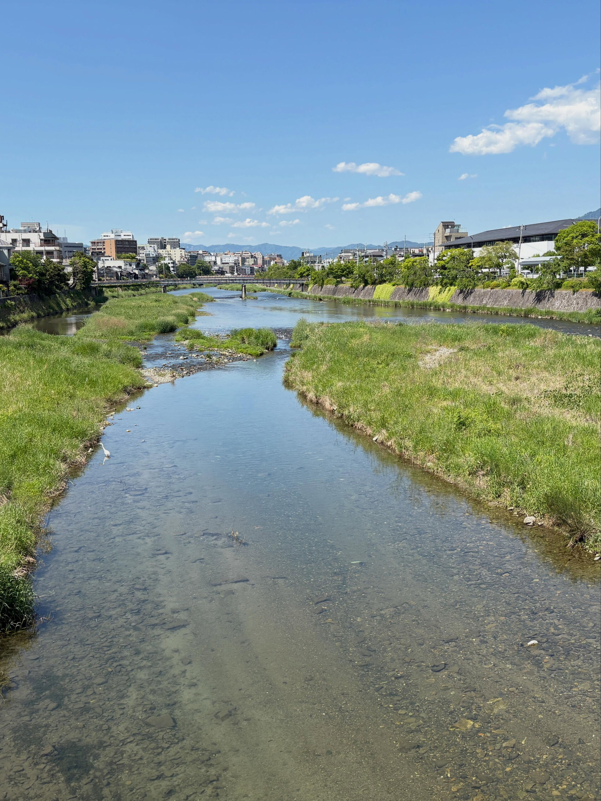 🍶 【仕入れ完了！】明日から夏酒、続々抜栓します ＆ 5/1
