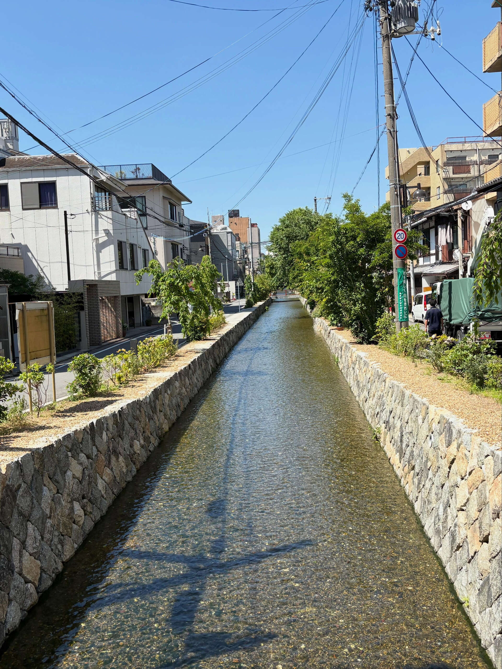 🍶 【仕入れ完了！】明日から夏酒、続々抜栓します ＆ 5/1