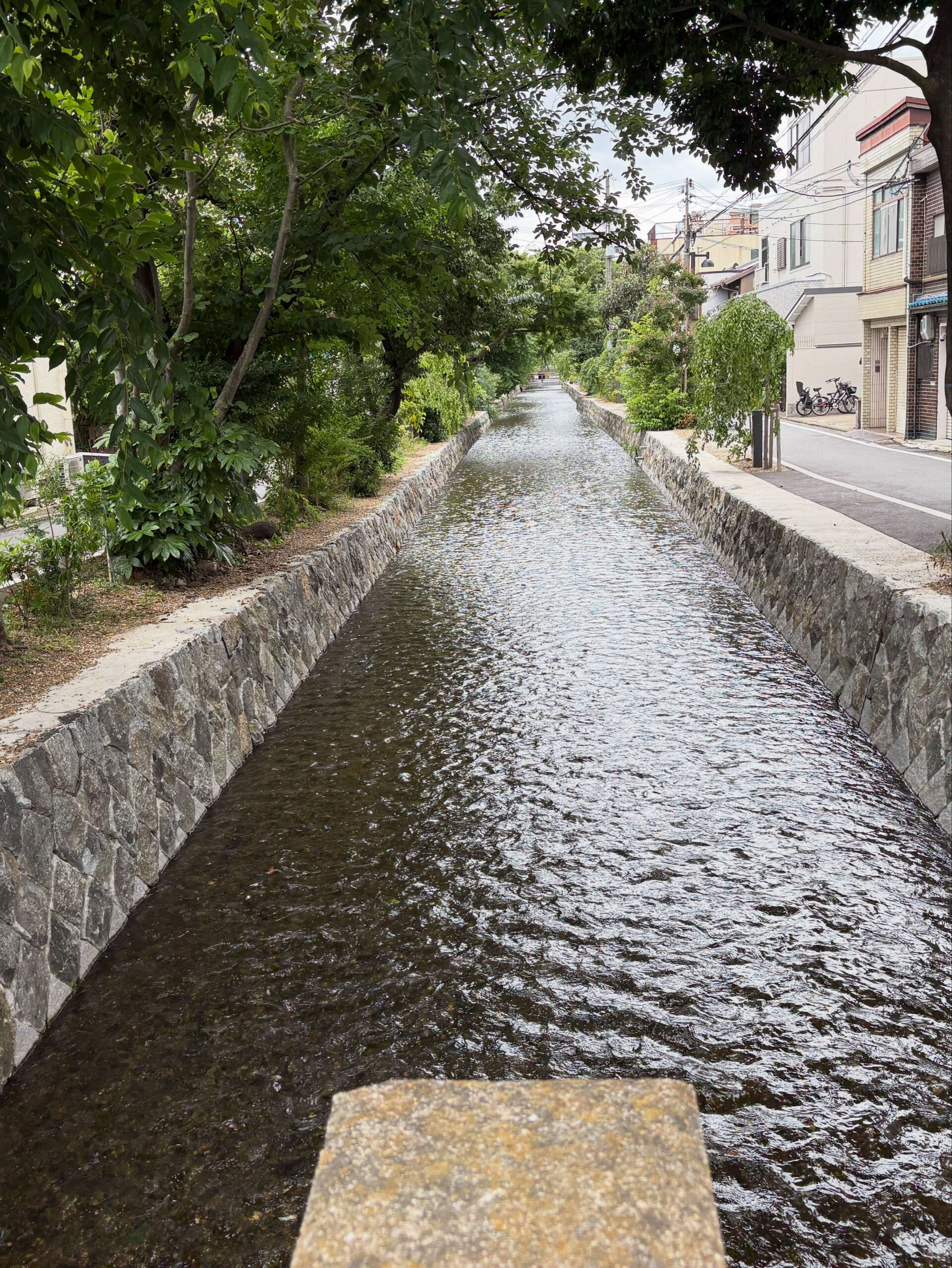 【本日は定休日です🙇‍♂️ 明日からの営業に向けて、日本酒を