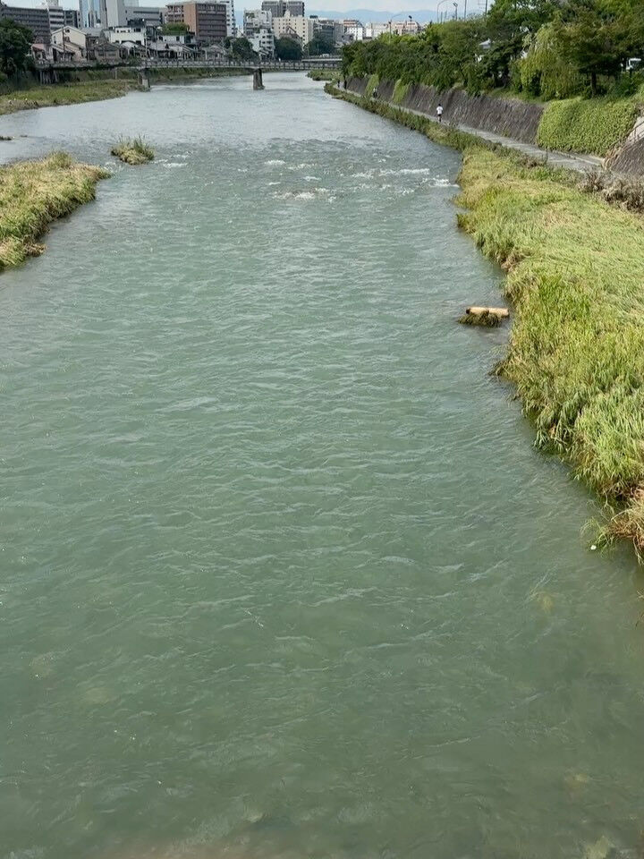 本日もご覧いただきありがとうございます😊