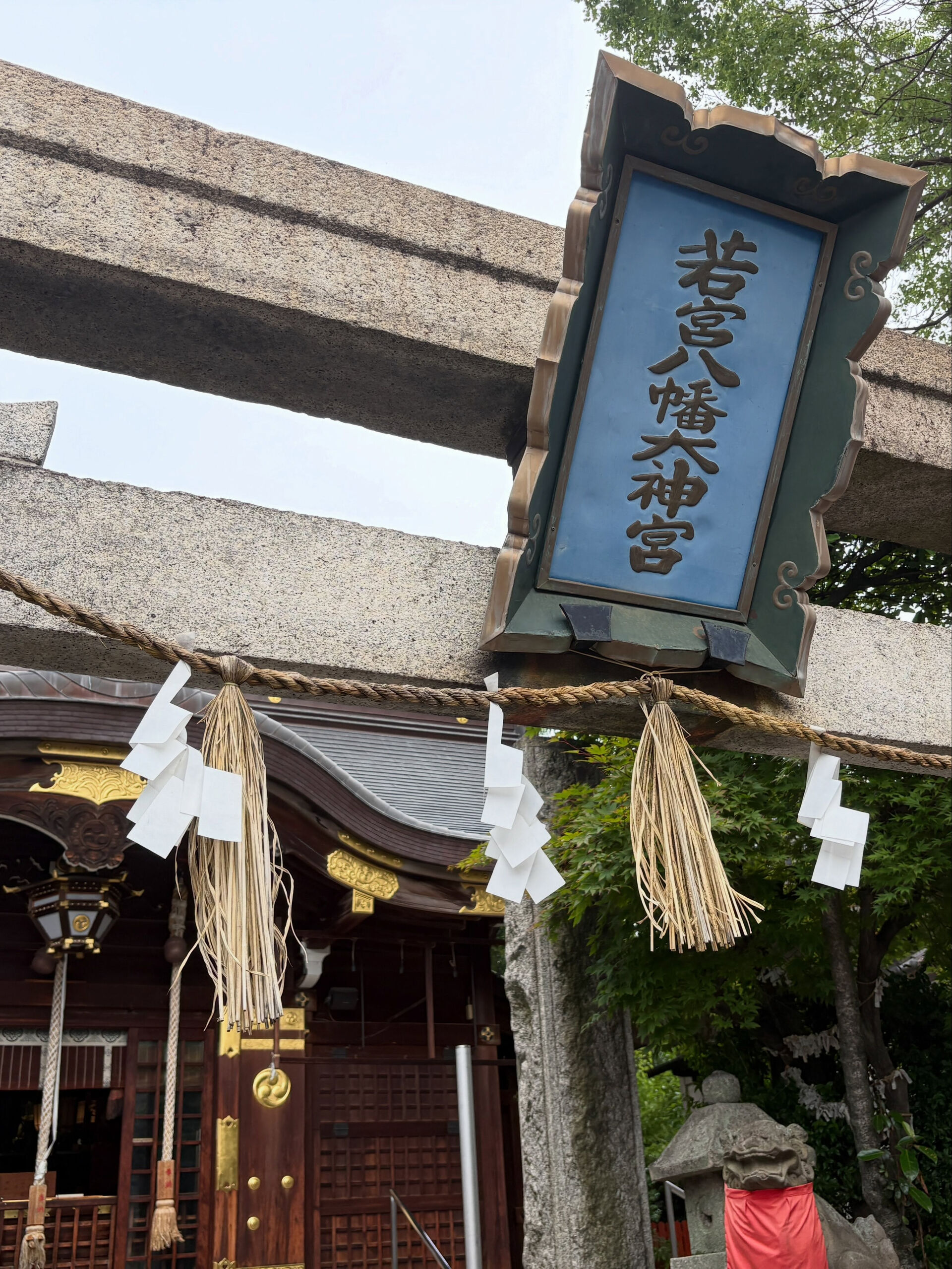 酔い子の皆様、こんにちは