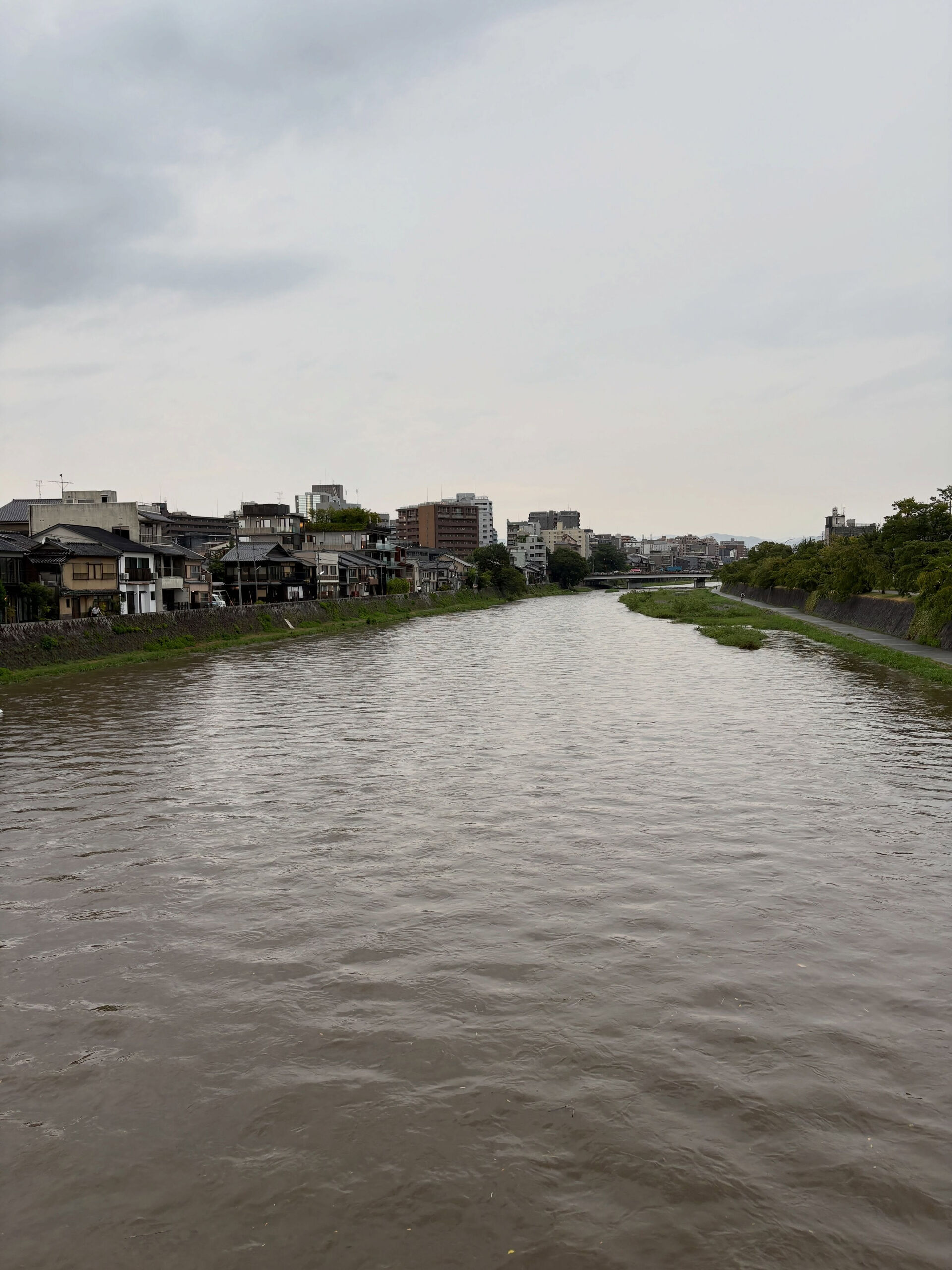 都島区・野江内代のおばんざいダイニング いちくんです