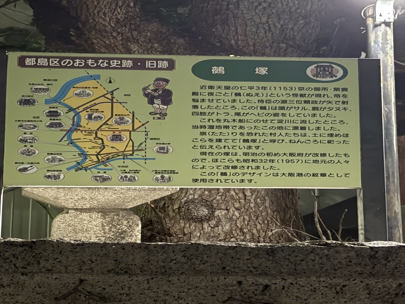 画像5528