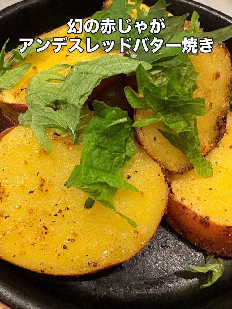 画像5629