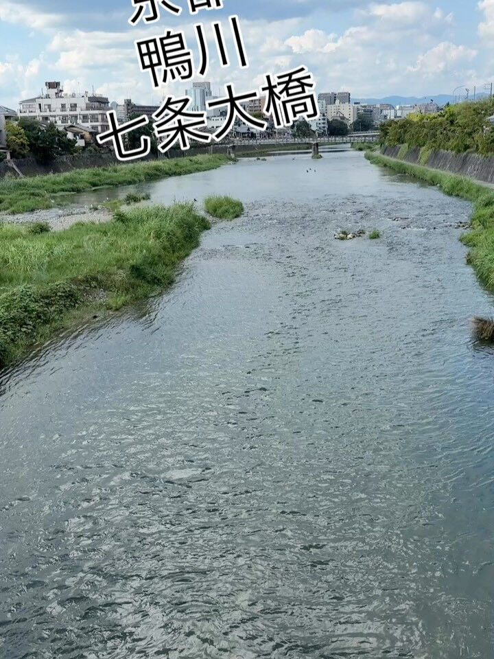 都島・野江内代のおばんざいダイニング いちくんです🍶