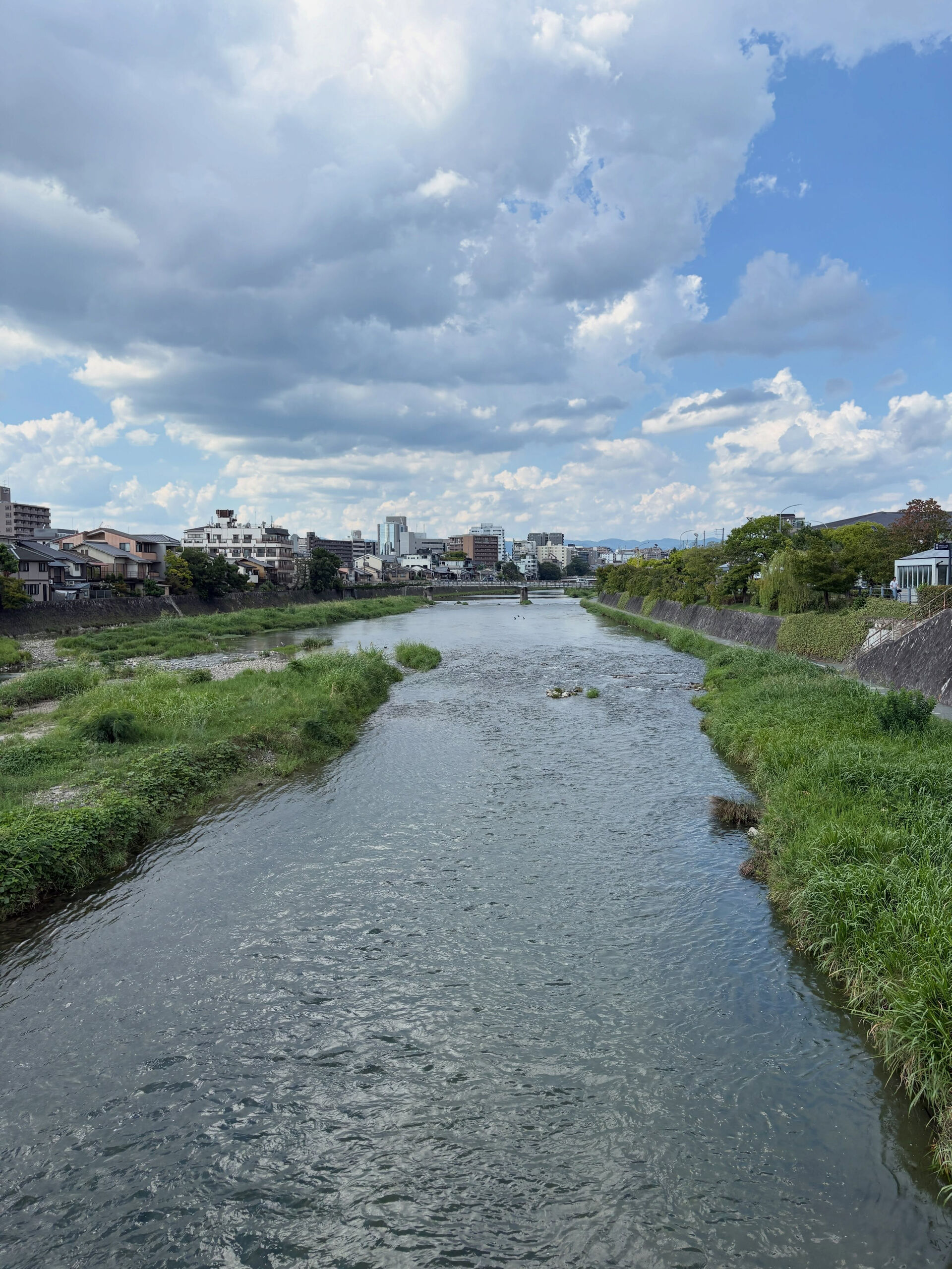 都島・野江内代のおばんざいダイニング いちくんです🍶