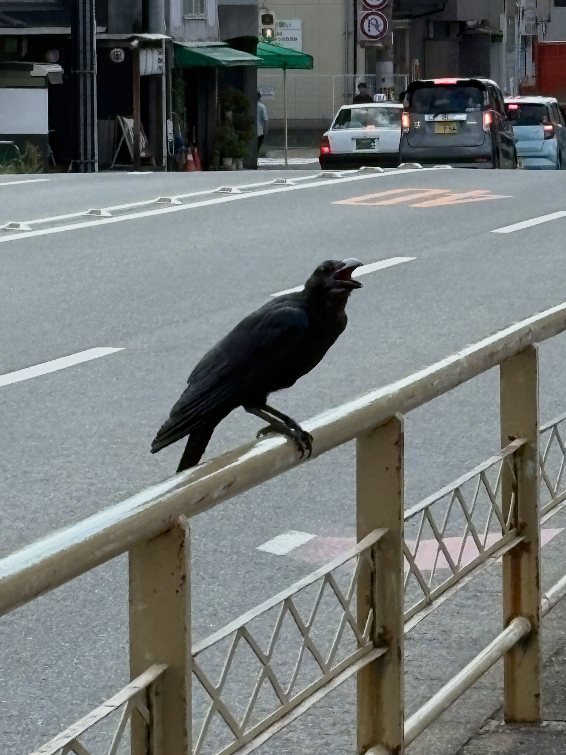 都島・野江内代のおばんざいダイニング いちくんです🍶
