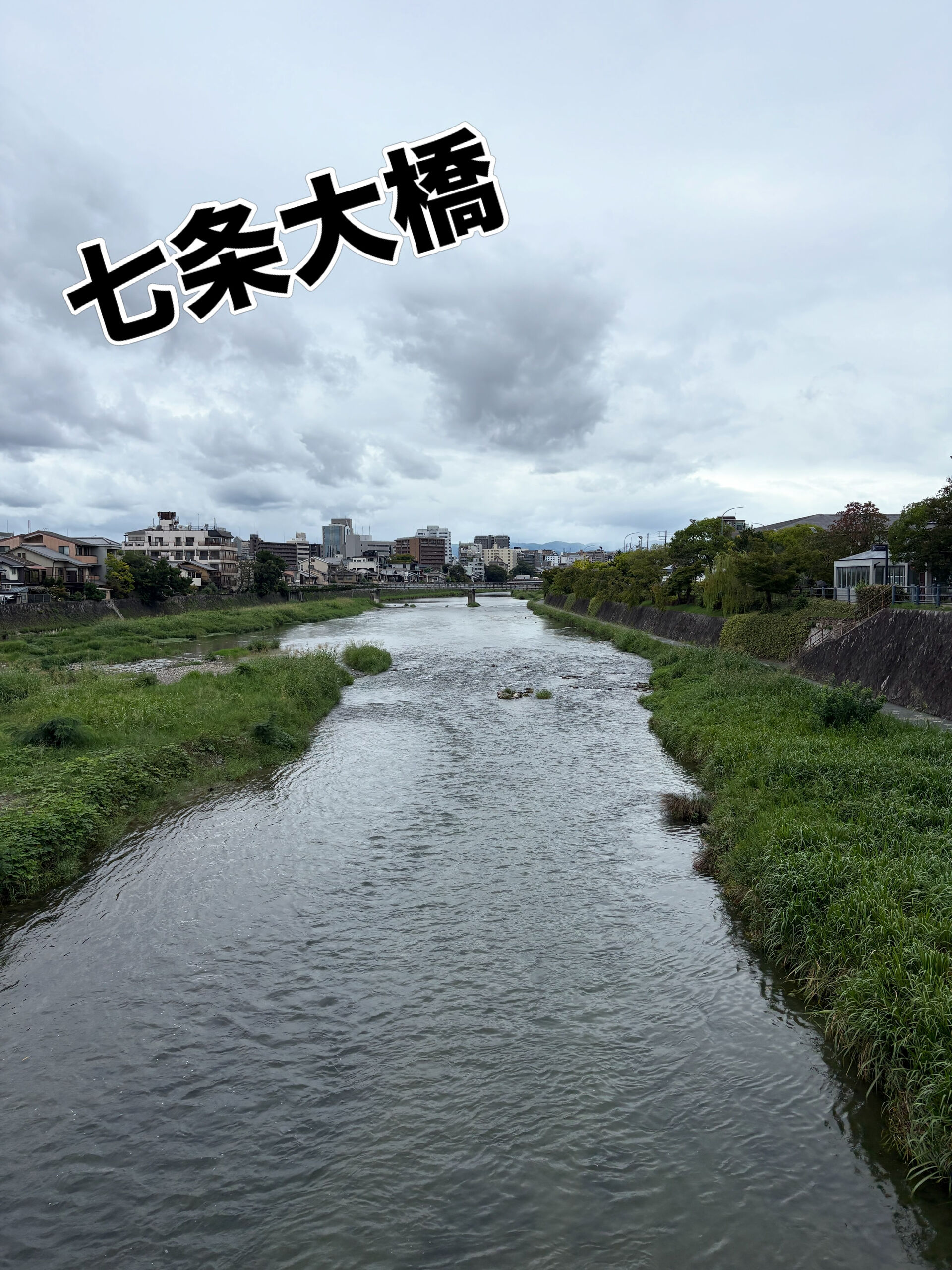 🍶✨ 本日は定休日