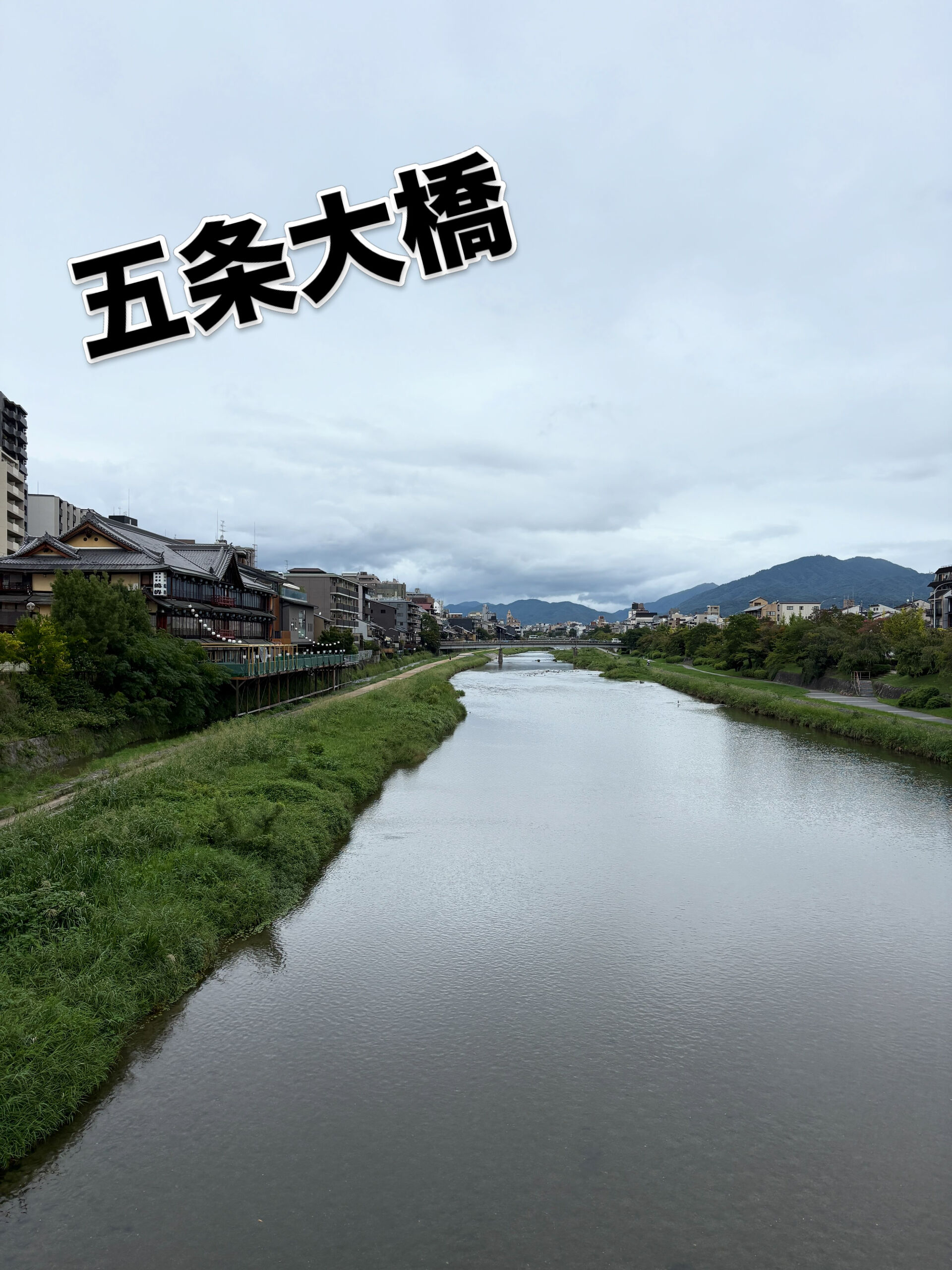 🍶✨ 本日は定休日
